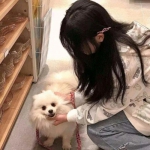 古今江湖37版下载